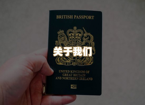 关于雅海资质排版网